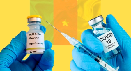 Image pour blog post Double Impact: Vaccin Antipaludique au Cameroun, une ...